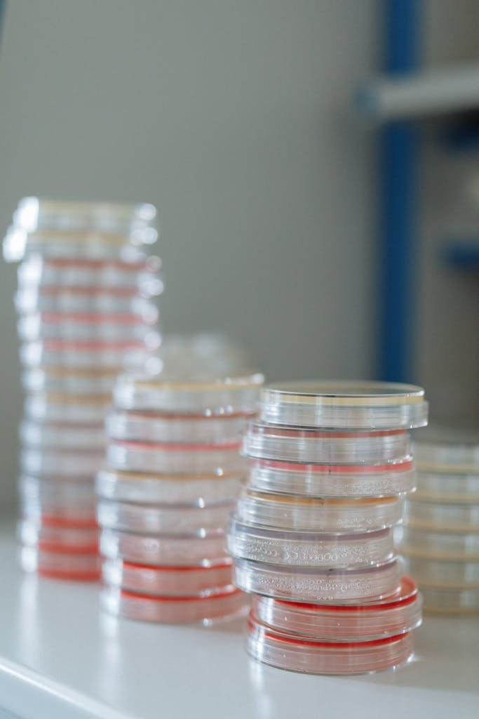 Stacks of sterile petri dishes on a lab bench, highlighting microbiological research essentials.